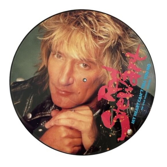 ROD STEWART PICTURE DISC Vinal Album Record, Collectible Music, British Rock 12" - Picture 3 of 4